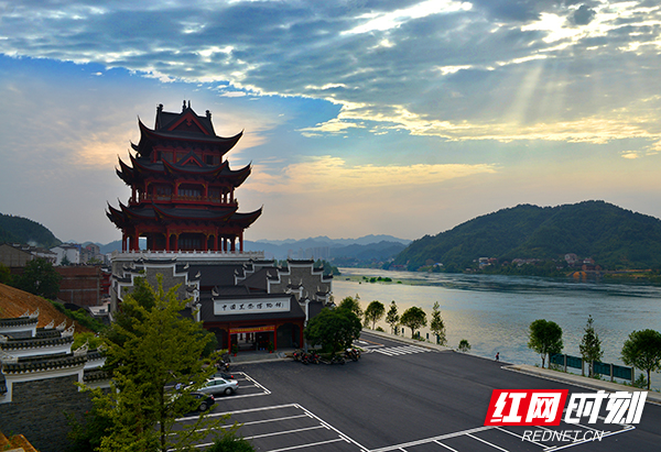 金花开遍丝路 你好世界！安化黑茶来了